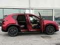 Mazda CX-5 CX-5 2.5 mhev Homura pelle beige 2wd 141cv auto Rot - thumbnail 3