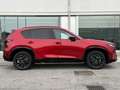 Mazda CX-5 CX-5 2.5 mhev Homura pelle beige 2wd 141cv auto Rot - thumbnail 2