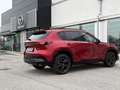Mazda CX-5 CX-5 2.5 mhev Homura pelle beige 2wd 141cv auto Rot - thumbnail 5