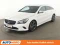 Mercedes-Benz CLA 180 Shooting Brake Urban*LED*NAVI*TEMPO*CAM*PDC*SHZ* Weiß - thumbnail 1