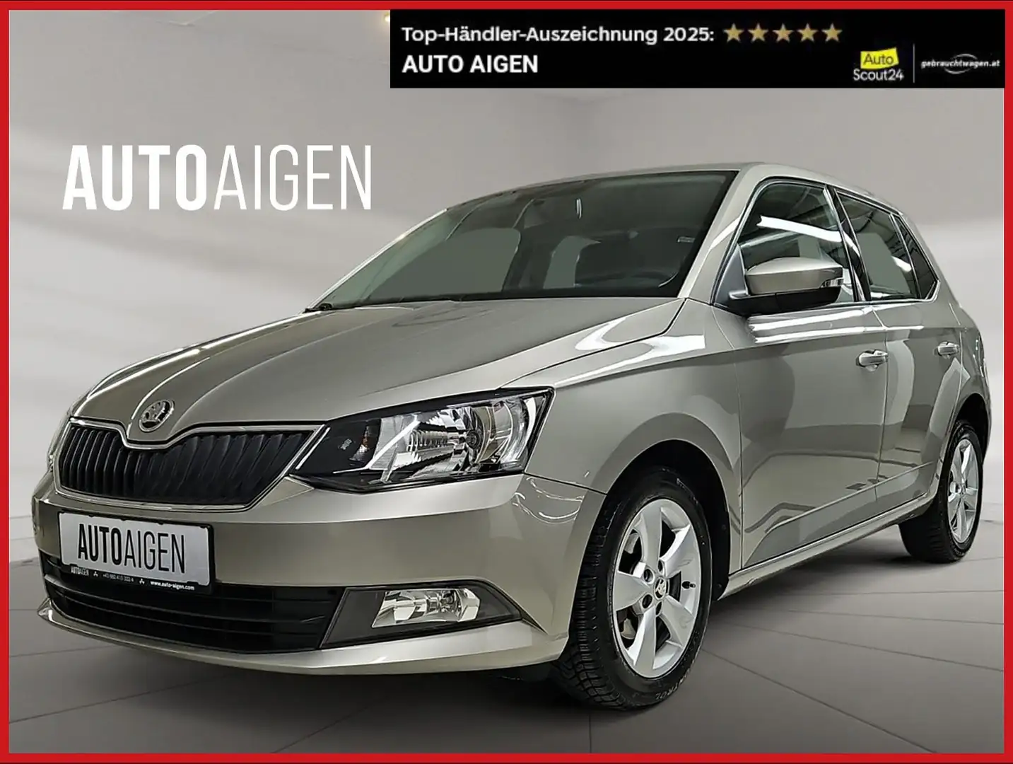 Skoda Fabia 1.0 TSI * TEMPOMAT * KLIMA * SZH * ab € 109,- Beige - 1