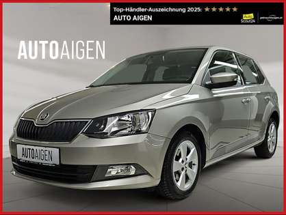 Skoda Fabia 1.0 TSI * TEMPOMAT * KLIMA * SZH * ab € 109,-