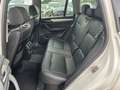 BMW X3 xDrive 20 d,NaviProf,Bi-Xenon,AHK,Leder,SHZ,T Weiß - thumbnail 15