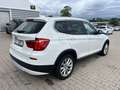 BMW X3 xDrive 20 d,NaviProf,Bi-Xenon,AHK,Leder,SHZ,T Weiß - thumbnail 8