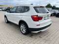 BMW X3 xDrive 20 d,NaviProf,Bi-Xenon,AHK,Leder,SHZ,T Weiß - thumbnail 10