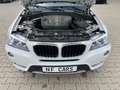 BMW X3 xDrive 20 d,NaviProf,Bi-Xenon,AHK,Leder,SHZ,T Weiß - thumbnail 5