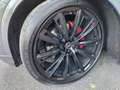 Audi Q8 Q8-50 tdi S line/23z-Laser-4MOT-B&O-Acustic-tetto Gris - thumbnail 15