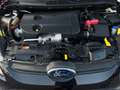 Ford Fiesta 1.6 TDCi 95 CV 5p. Titanium Nero - thumbnail 14