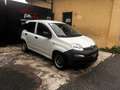 Fiat Panda 1.3 MJT S&S Pop Van 2 posti *AUTOCARRO N1* Blanc - thumbnail 3