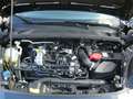 Ford Puma 1,0 Mild Hybrid Navi,Sitzheitzung, PDC, Alu Noir - thumbnail 14