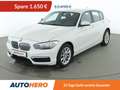 BMW 118 118i  *PDC*LIM*SHZ*ALU* Weiß - thumbnail 1