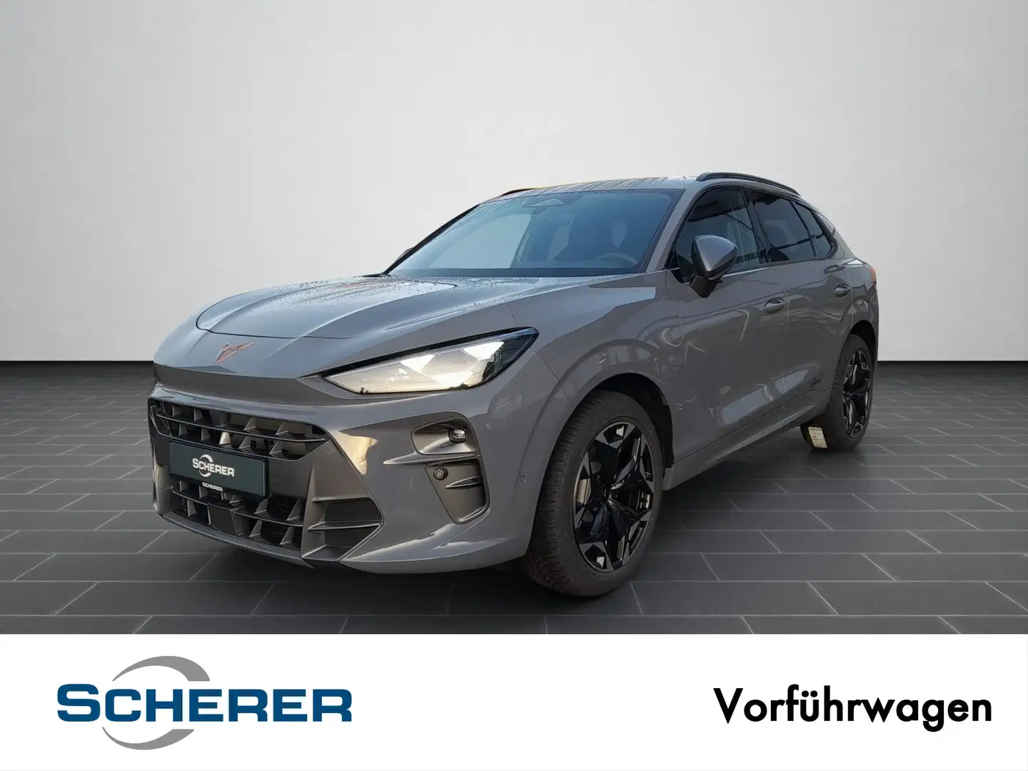 CUPRA Terramar 2.0 TSI 150 kW (204 PS) 7-Gang DSG 4Dri Grau - 1