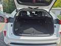 GWM WEY 05 WEY 05 Luxury mit Sitzkomf. Paket 4WD Blanc - thumbnail 12