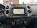 Volkswagen Tiguan 2.0 TDI DSG 4M Navi Kamera Bi-Xenon Pano Grau - thumbnail 14