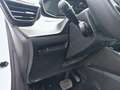 Peugeot 208 Active e 136cv Bianco - thumbnail 22