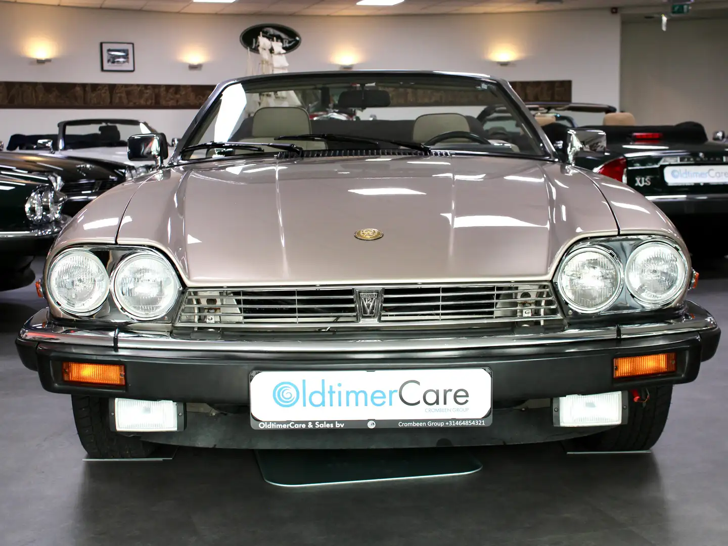 Jaguar XJS Cabrio V12 Beige - 2