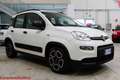 Fiat Panda 1.0 firefly hybrid City Life - Ok neopatentati!!! Bianco - thumbnail 3