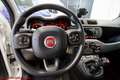 Fiat Panda 1.0 firefly hybrid City Life - Ok neopatentati!!! Bianco - thumbnail 7