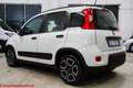 Fiat Panda 1.0 firefly hybrid City Life - Ok neopatentati!!! Bianco - thumbnail 4