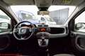 Fiat Panda 1.0 firefly hybrid City Life - Ok neopatentati!!! Bianco - thumbnail 11
