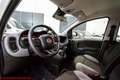 Fiat Panda 1.0 firefly hybrid City Life - Ok neopatentati!!! Bianco - thumbnail 22