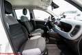 Fiat Panda 1.0 firefly hybrid City Life - Ok neopatentati!!! Bianco - thumbnail 28