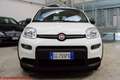 Fiat Panda 1.0 firefly hybrid City Life - Ok neopatentati!!! Bianco - thumbnail 17