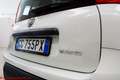 Fiat Panda 1.0 firefly hybrid City Life - Ok neopatentati!!! Bianco - thumbnail 20