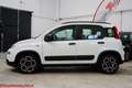 Fiat Panda 1.0 firefly hybrid City Life - Ok neopatentati!!! Bianco - thumbnail 16