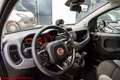 Fiat Panda 1.0 firefly hybrid City Life - Ok neopatentati!!! Bianco - thumbnail 5