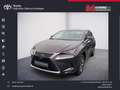 Lexus NX 300 300h E-FOUR Launch Edition Silber - thumbnail 1