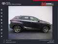 Lexus NX 300 300h E-FOUR Launch Edition Silber - thumbnail 14