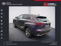 Lexus NX 300 300h E-FOUR Launch Edition Argintiu - thumbnail 2