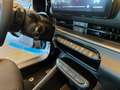 Fiat 600 1.2 hybrid Business -NOLOGGIO B/M TERMINE- Vert - thumbnail 16