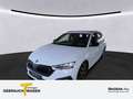 Skoda Octavia Combi 1.0 TSI DSG SPORTPAKET LM18 HuD NA Weiß - thumbnail 1