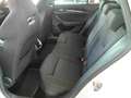 Skoda Octavia Combi 1.0 TSI DSG SPORTPAKET LM18 HuD NA Weiß - thumbnail 6