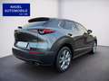 Mazda CX-30 Selection/Leder/Navi/SHZ/LHZ/LED/HUD Grau - thumbnail 7