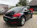 Volkswagen Beetle 1,6 TDI Design Negro - thumbnail 8