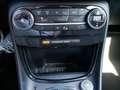 Ford Puma 1.0 EcoBoost Hybrid ST-Line X Vignale Grijs - thumbnail 12