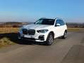 BMW X5 X5 xDrive30d xLine Weiß - thumbnail 1
