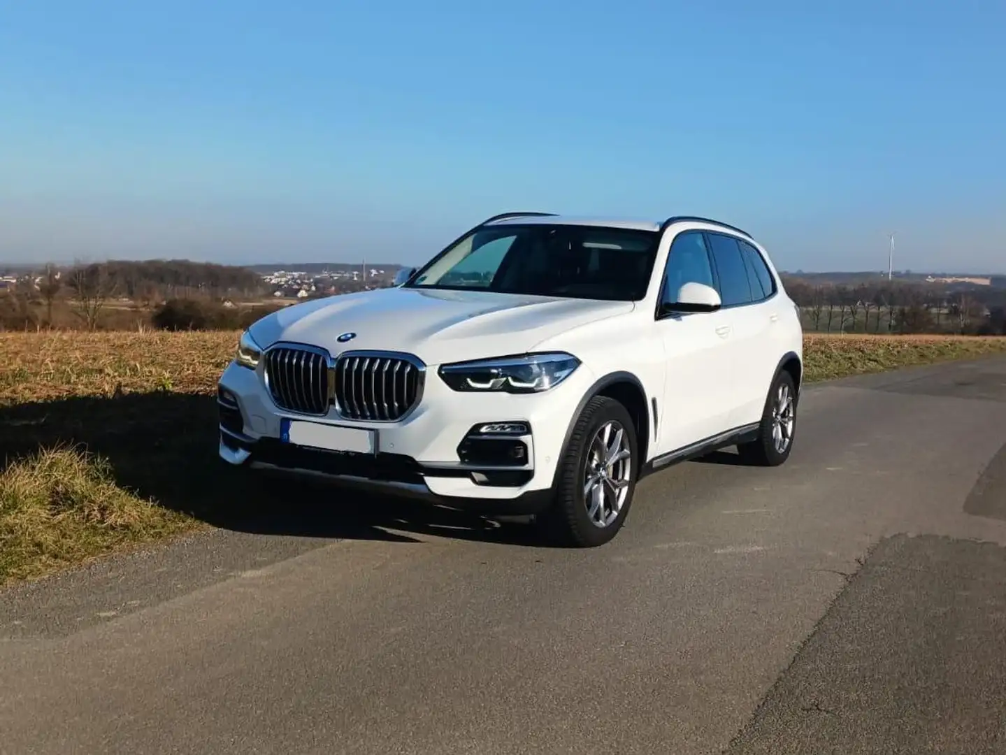 BMW X5 X5 xDrive30d xLine Weiß - 1