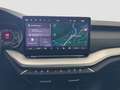 Skoda Octavia Selection TSI mHEV DSG Grau - thumbnail 10