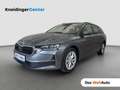 Skoda Octavia Selection TSI mHEV DSG Grau - thumbnail 1