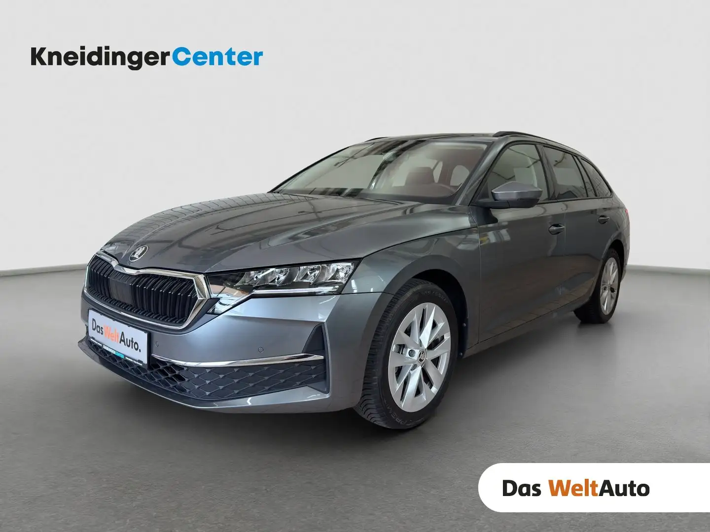 Skoda Octavia Selection TSI mHEV DSG Grau - 1