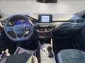 Ford Kuga 2.0 Diesel AWD ST-Line X + Fahrerassistenz+ + Tech Blu/Azzurro - thumbnail 11