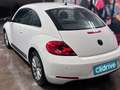 Volkswagen Beetle Cabrio 1.6TDI Beetlemanía Blanco - thumbnail 7