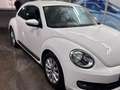Volkswagen Beetle Cabrio 1.6TDI Beetlemanía Blanco - thumbnail 5