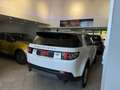 Land Rover Discovery Sport Discovery Sport 2.0 TD4 150 CV Pure Bianco - thumbnail 15