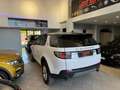 Land Rover Discovery Sport Discovery Sport 2.0 TD4 150 CV Pure Bianco - thumbnail 13