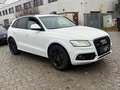 Audi SQ5 3.0 TDI competition quattro*B&O*Pano*Kam*ACC Weiß - thumbnail 3